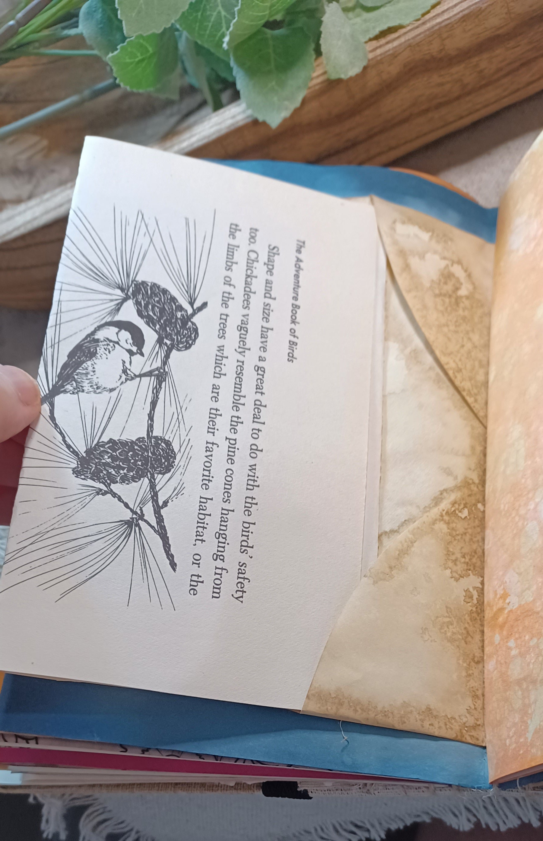 An open Junk Journal book  showing a coffee dyed envelope with a vintage page with printed text and a black-and-white illustration of birds on a pine branch, with aged yellowed pages and a hand holding one side.