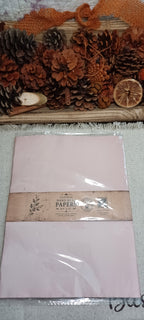 Packaged 10-sheet set of naturally avocado-dyed paper from Wander Through the Paper Garden
