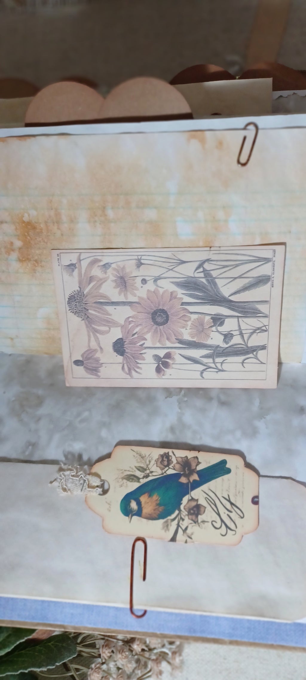 Wings in the Weathered Woods – Handmade Bird Junk Journal | Eco Printed, Rust Printed & Naturally Dyed Papers