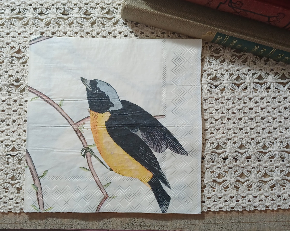 Cream paper luncheon napkin featuring a large golden-breasted songbird with dark wings and a blue-gray head perched on slender branches.