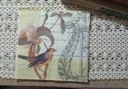 The Little Bird & Old Letters Paper Napkin – Single Luncheon Napkin for Decoupage & Collage