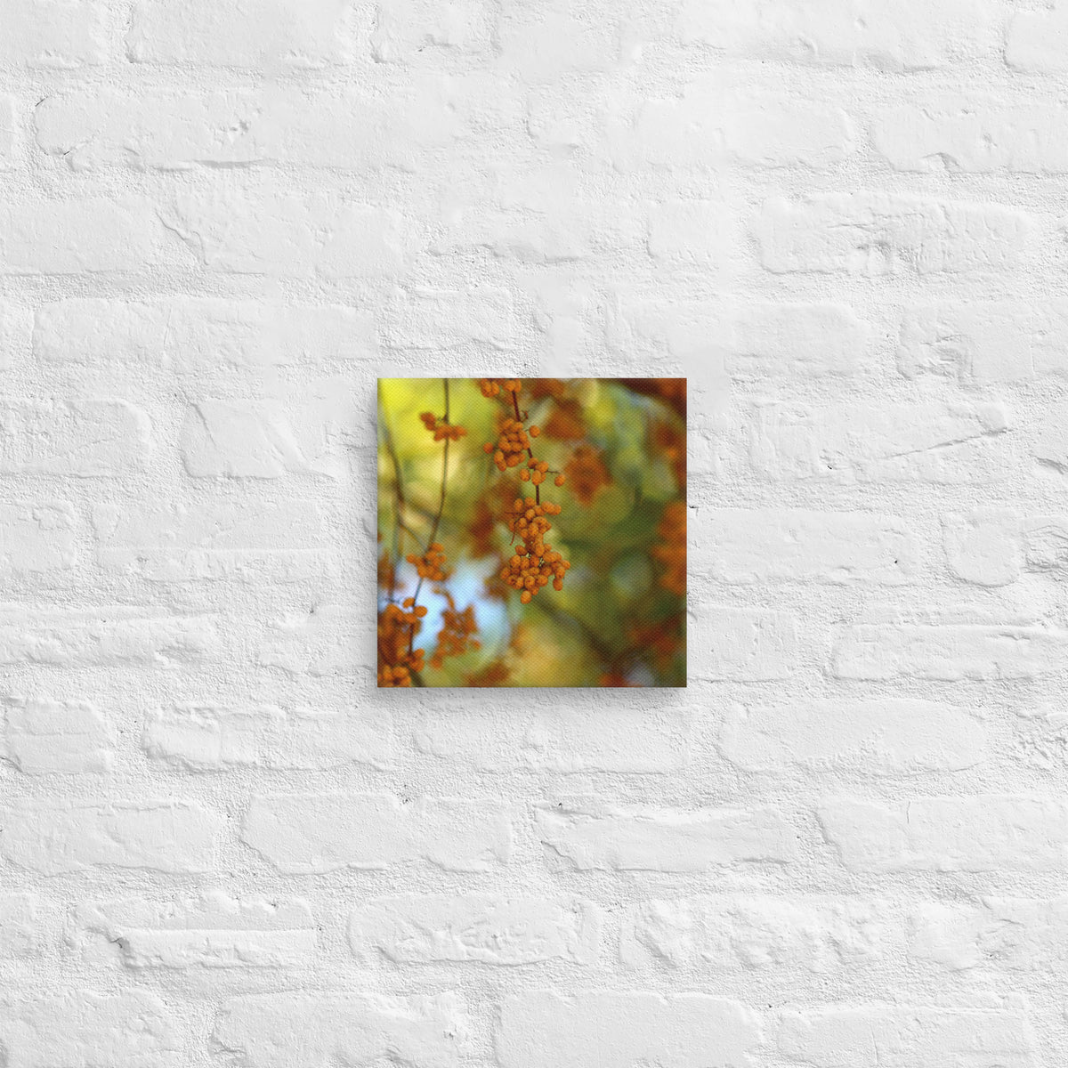 Product Autumn berries photography canvas shown in [10x10] on a white brick wallmockup