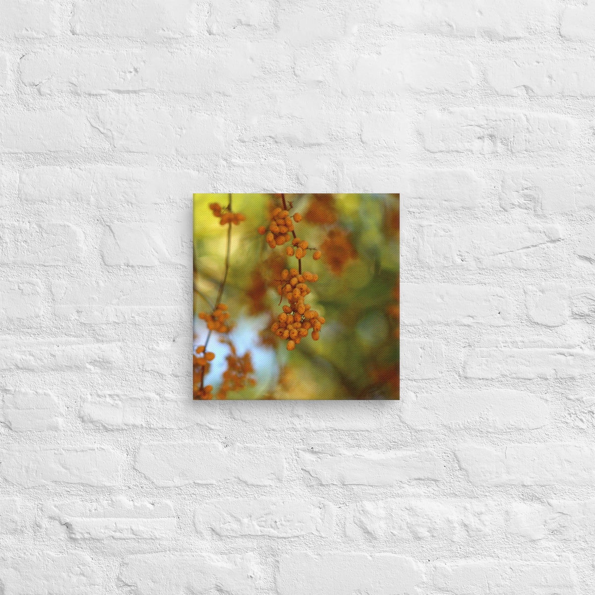 Autumn berries photography canvas shown in 12x12 on a white brick wall