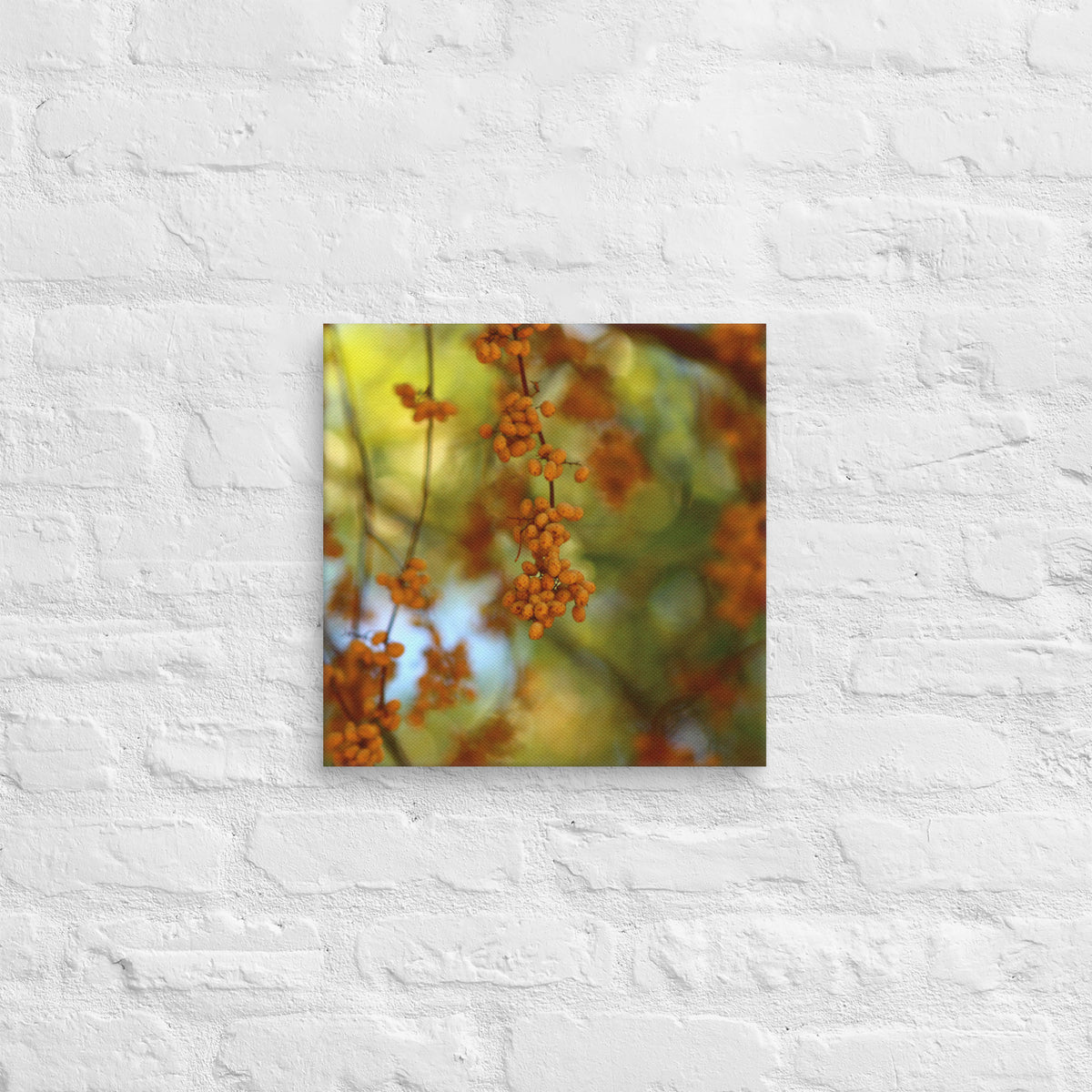 Autumn berries photography canvas shown in [14x14] on a white brick wall
