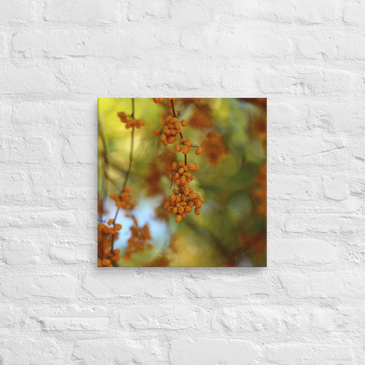 Autumn berries photography canvas shown in [16x16] on a white brick wall