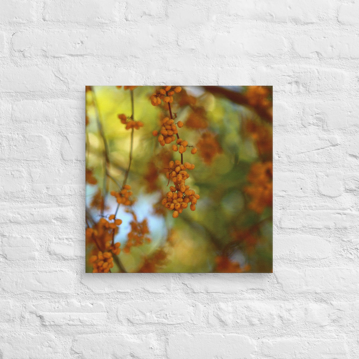 Autumn berries photography canvas shown in [18x18] on a white brick wall