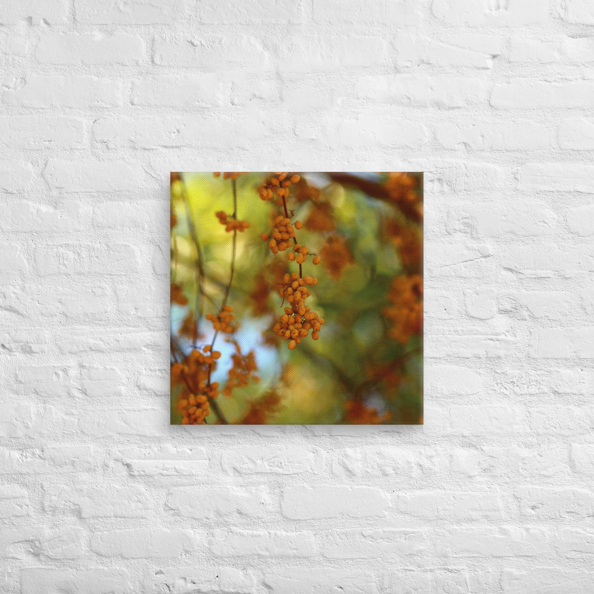 Autumn berries photography canvas shown in [20x20] on a white brick wall