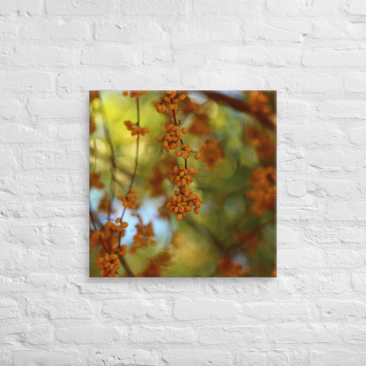 Autumn berries photography canvas shown in [24x24] on a white brick wall