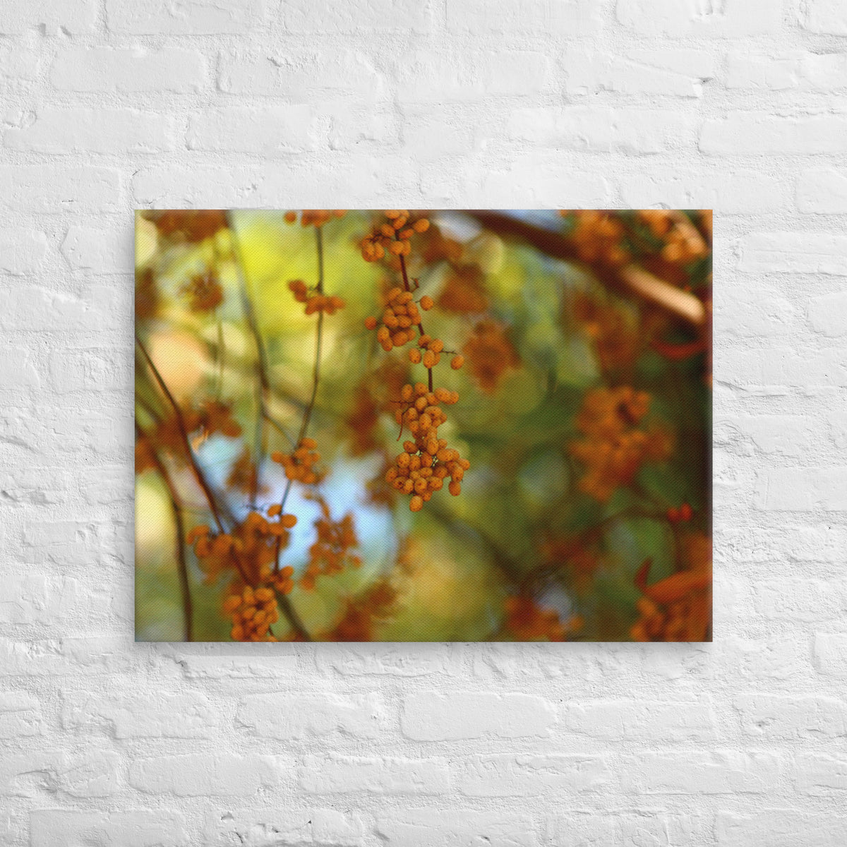 Autumn berries nature photography canvas displayed on a white brick wall