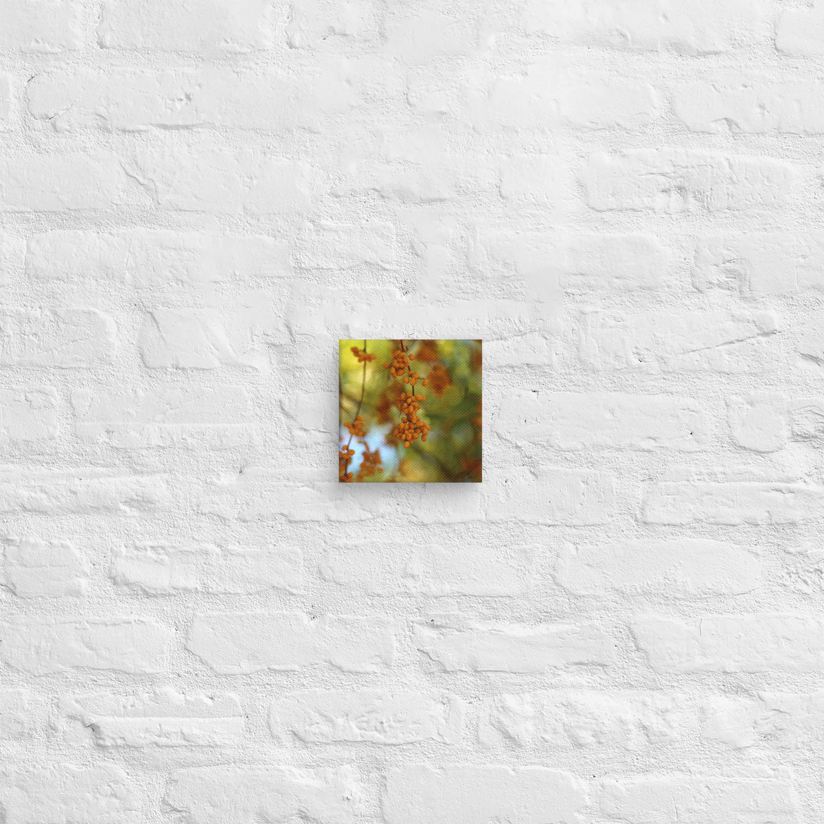 Autumn berries photography canvas shown in [6x6] on a white brick wall