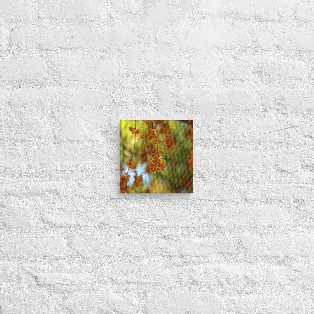 Autumn berries photography canvas shown in [8x8] on a white brick wall