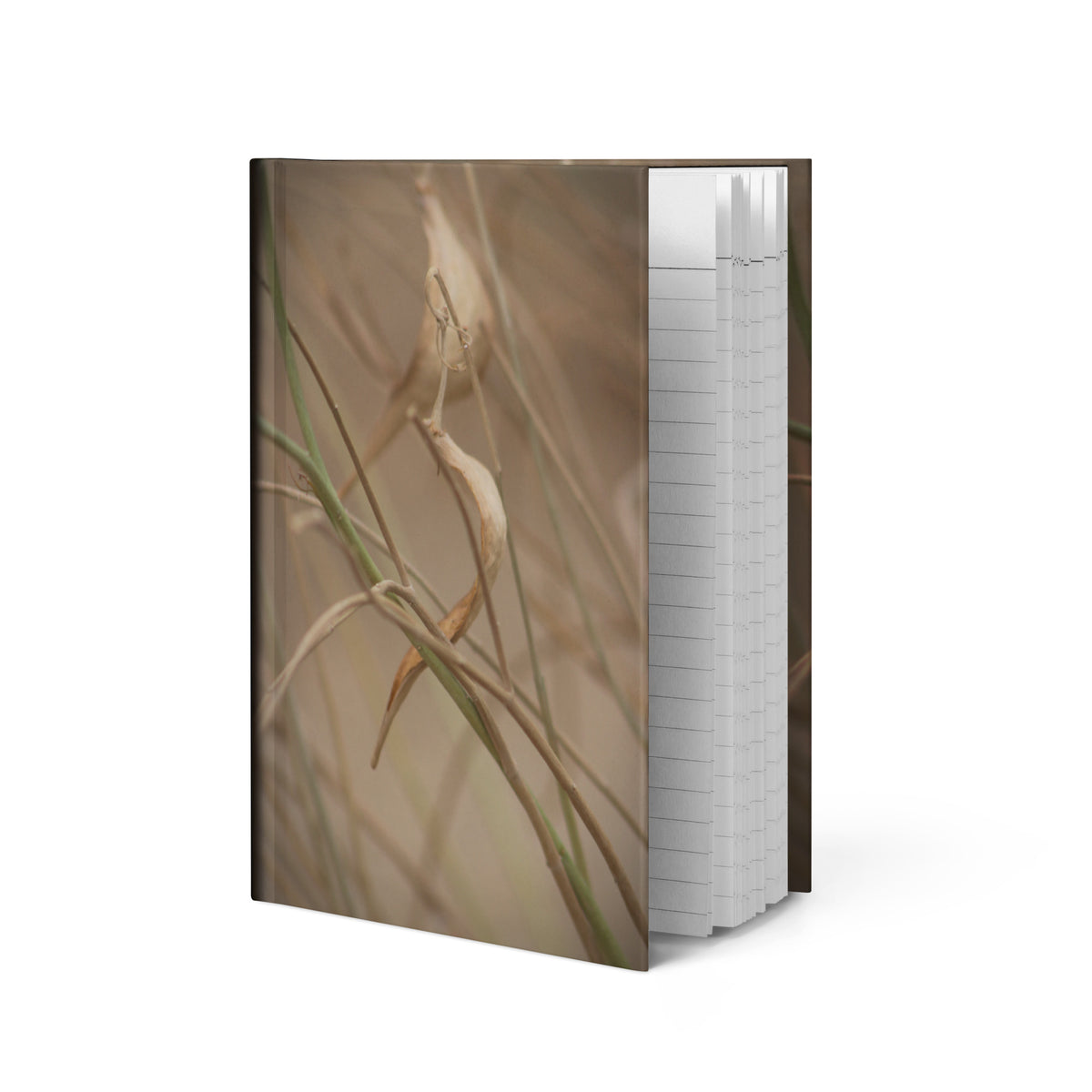 Hardcover journal featuring original photography of desert milkweed among slender stems in soft earthy desert tones.