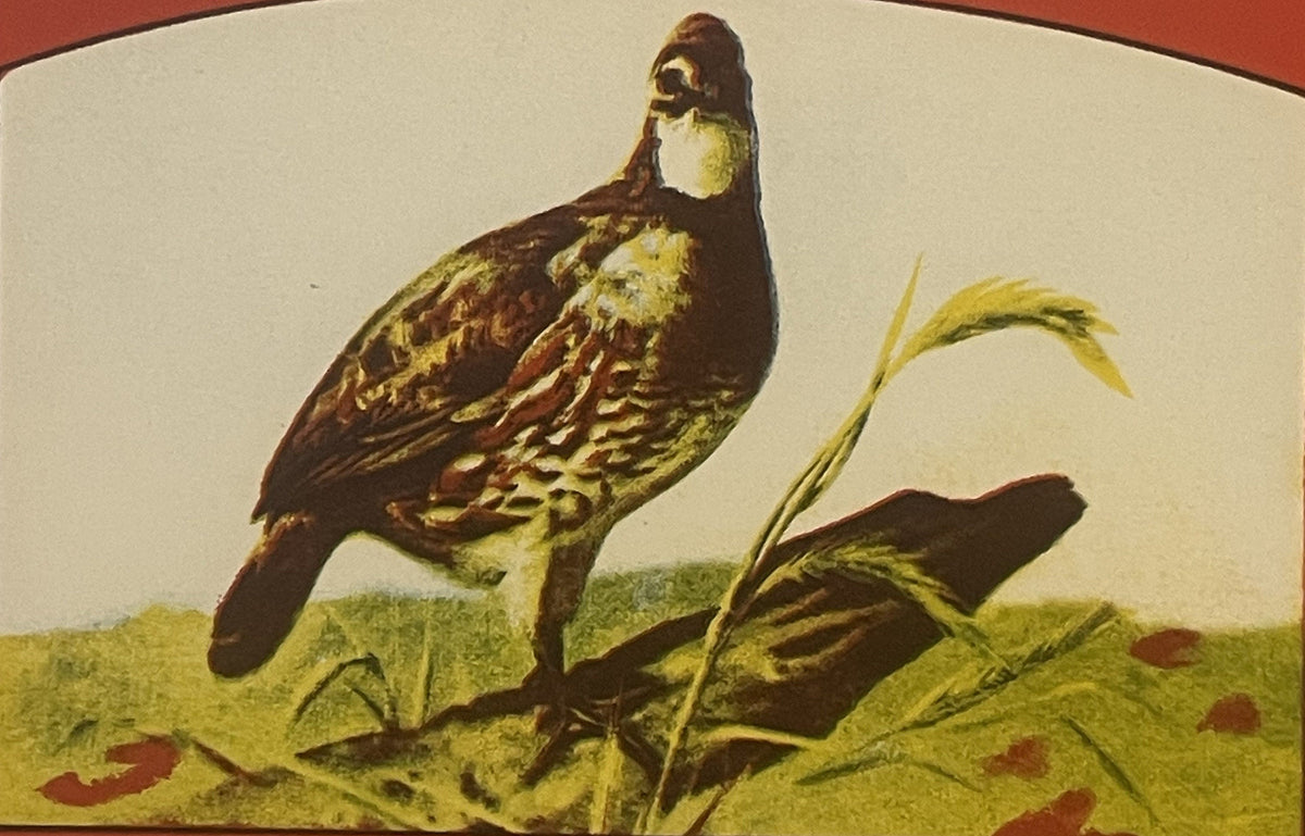 1930s Bob White Brand peach crate label with bobwhite quail illustration