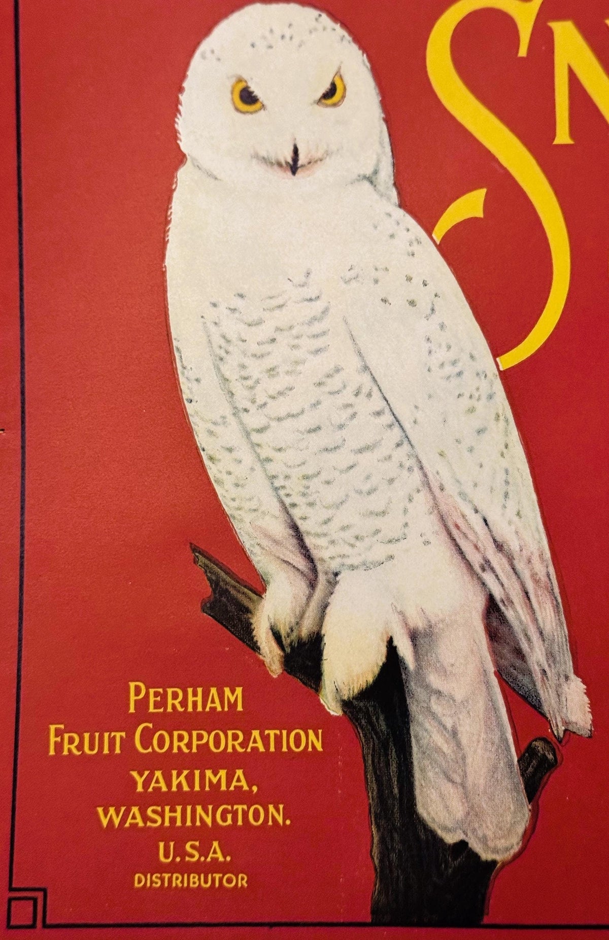 Original vintage Snow Owl crate label showing owl illustration and typography