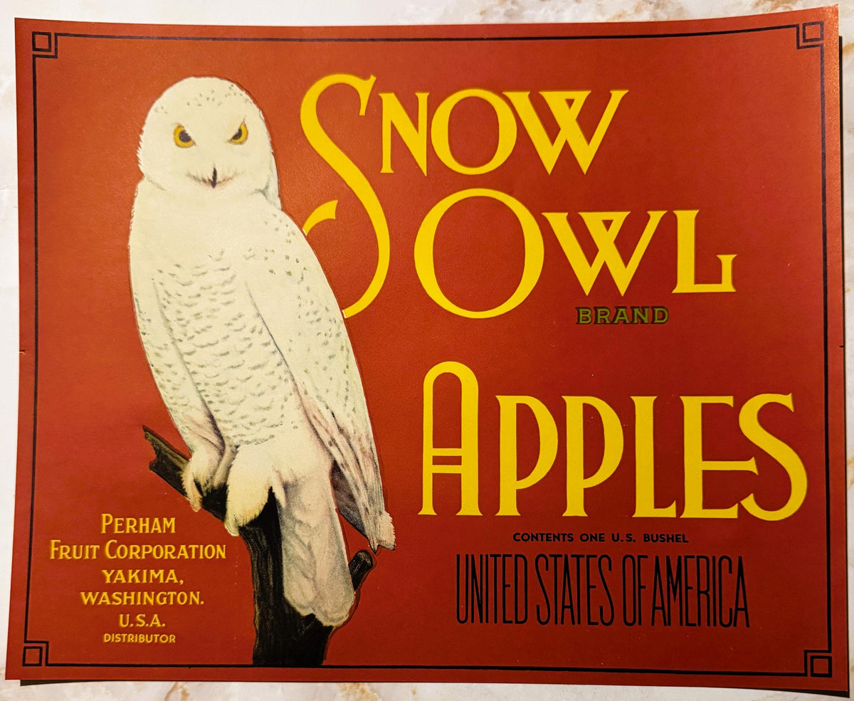 1930s Snow Owl Brand fruit label with white owl and bold lettering