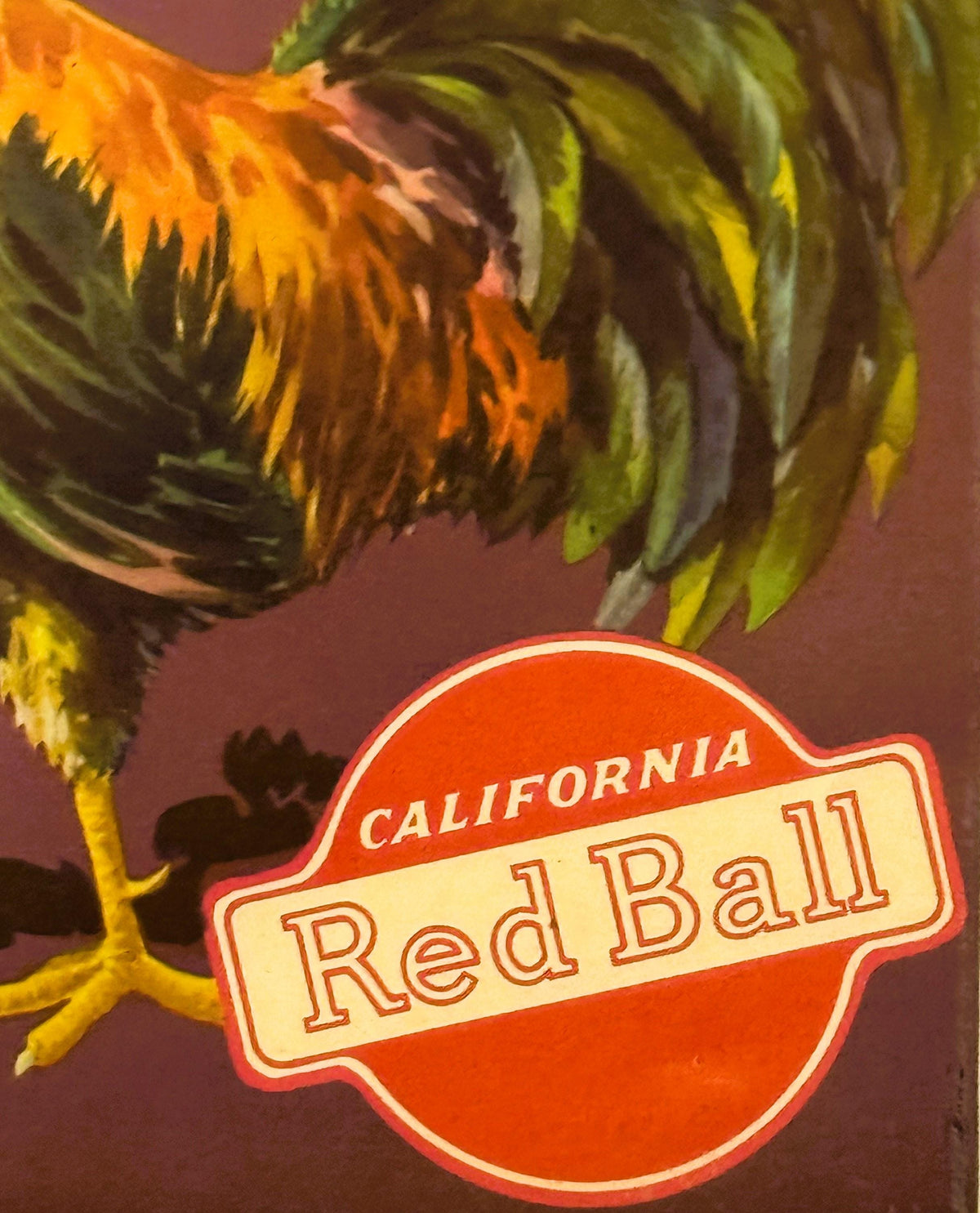 Vintage rooster illustration detail on Pride of Venice Cove orange crate label