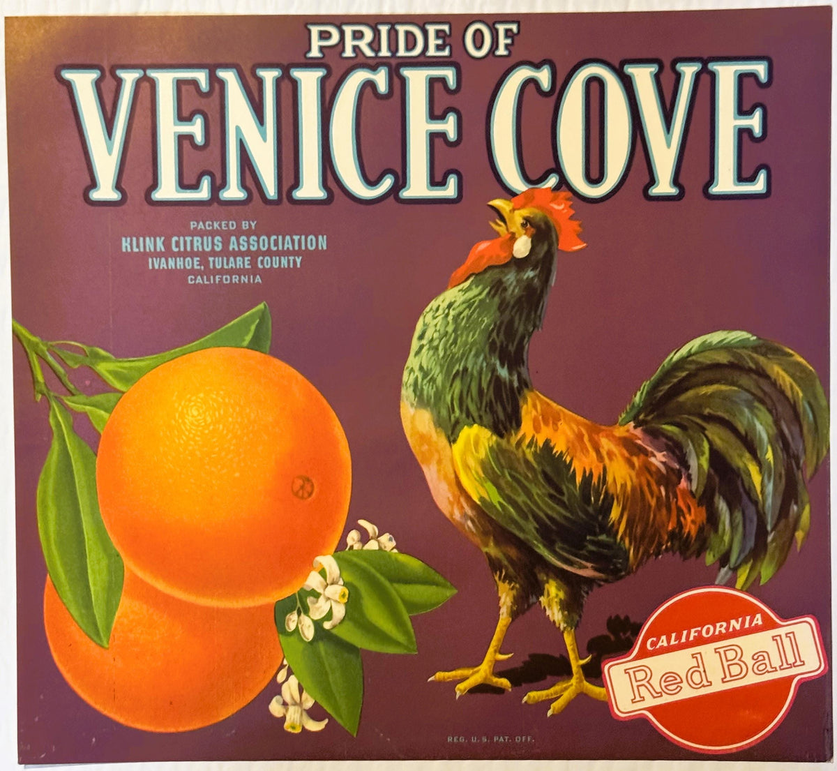 Original Pride of Venice Cove California citrus crate label from the 1930s