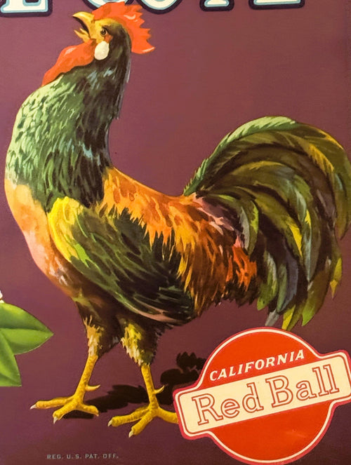 Antique 1930s Pride of Venice Cove orange crate label with colorful rooster artwork