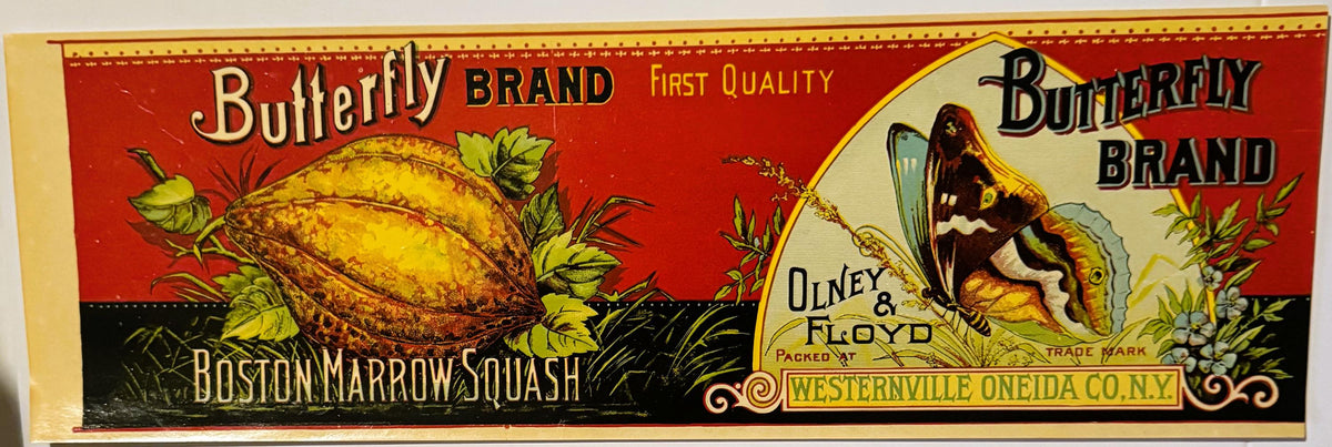 Antique 1890s Butterfly Brand Squash Can Label – Original Victorian Ephemera