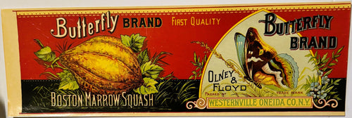 Original Victorian Butterfly Brand squash can label by Olney and Floyd of Westernville New York