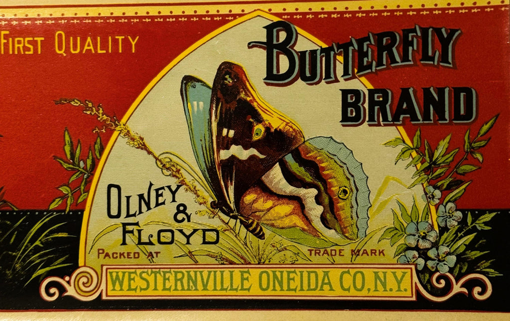 Antique 1890s Butterfly Brand Boston Marrow Squash can label with butterfly illustration