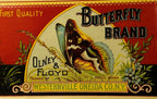 Antique 1890s Butterfly Brand Boston Marrow Squash can label with butterfly illustration