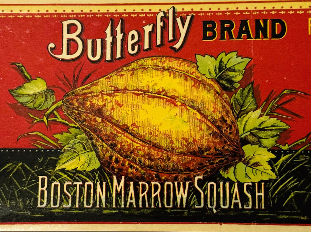 Butterfly illustration on antique 1890s Butterfly Brand can label
