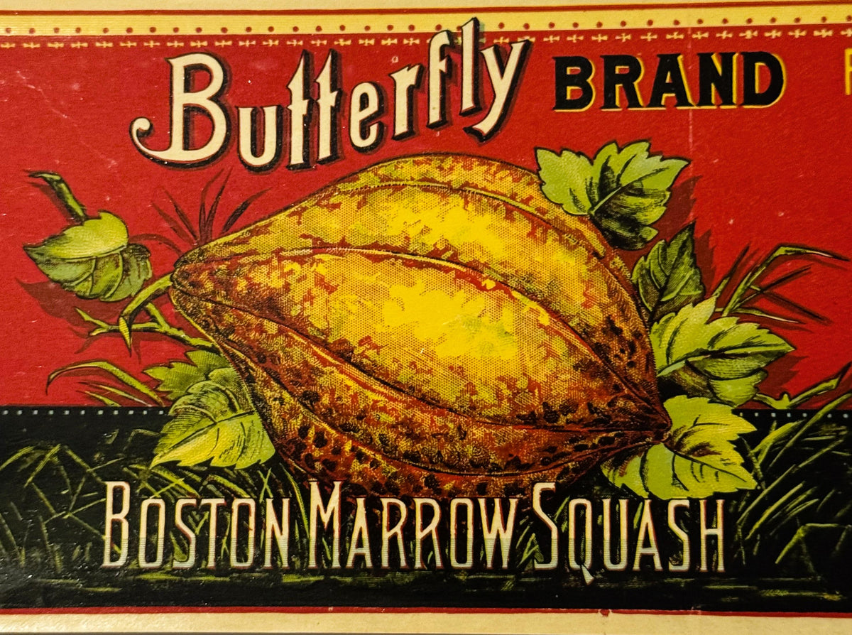 Butterfly illustration on antique 1890s Butterfly Brand can label