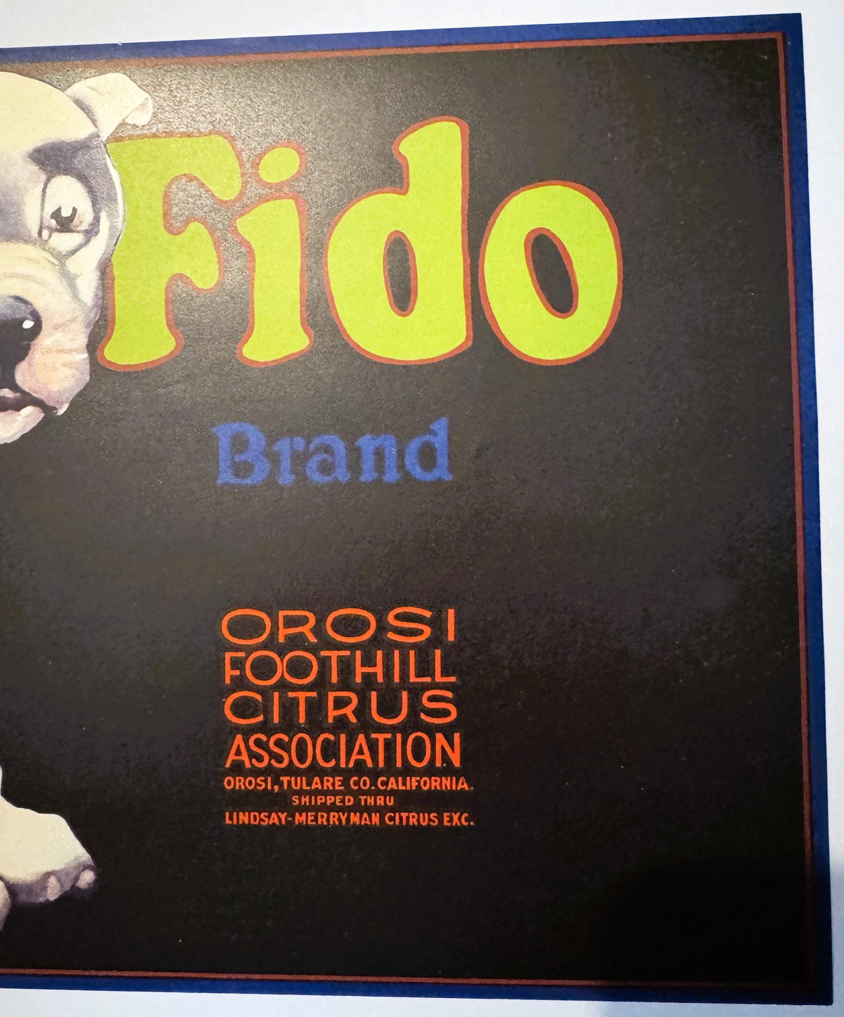 Vintage Fido Brand crate label featuring white puppy on black background