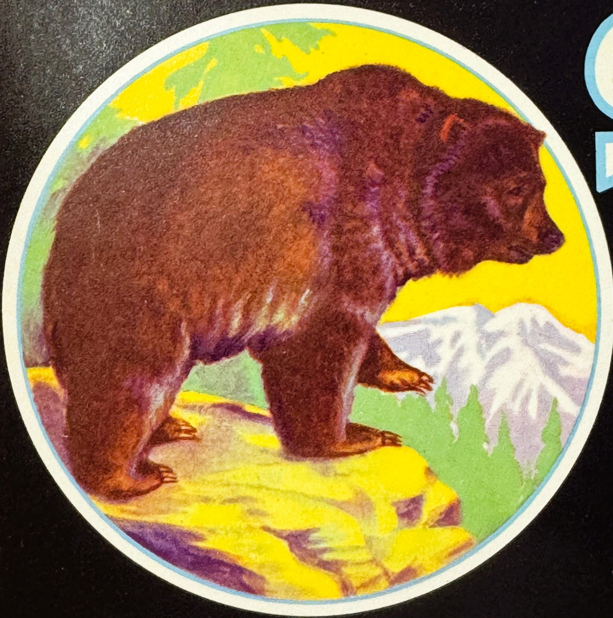 1950s Silver Tip Brand California crate label with grizzly bear illustration