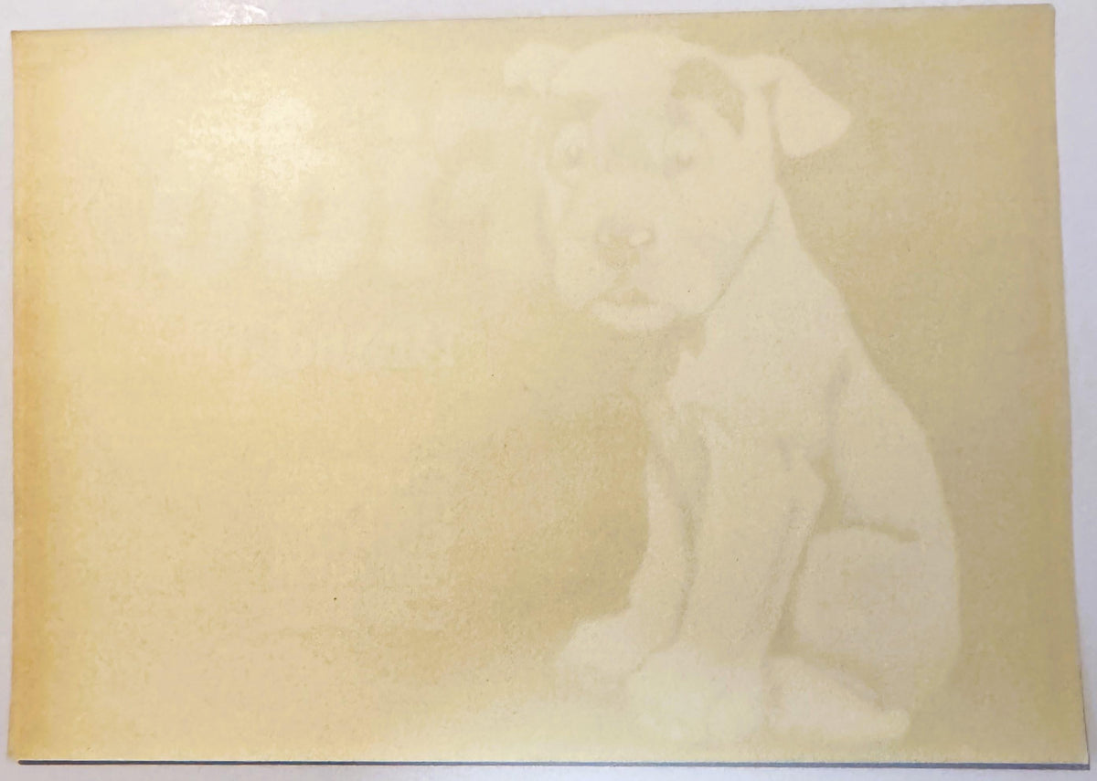 Back of original 1930s Fido Brand citrus crate label