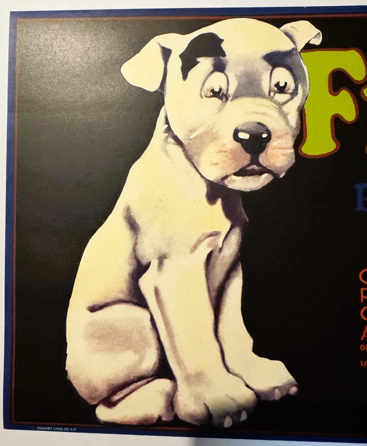 Original Fido citrus crate label from Orosi Tulare County California