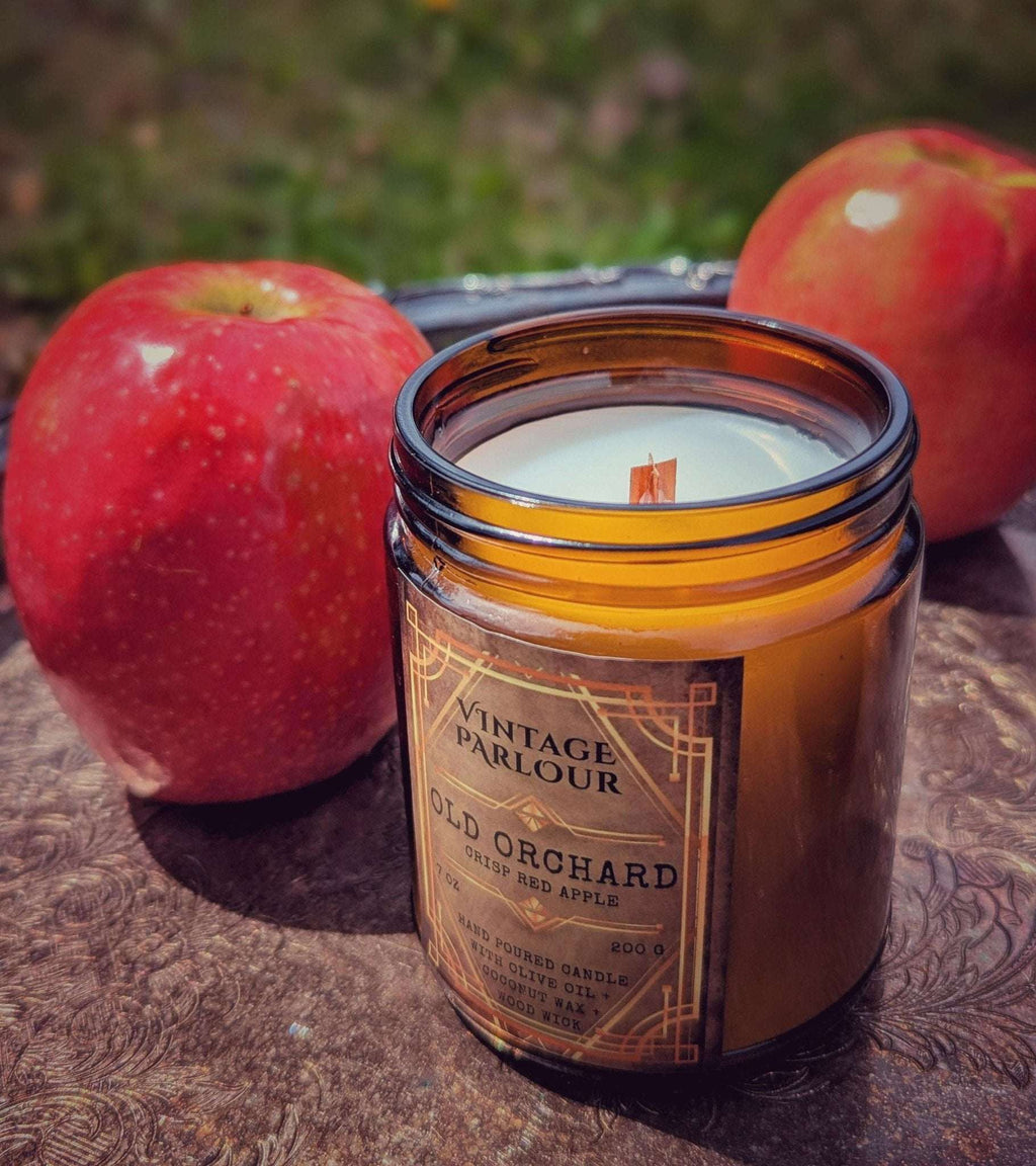 Vintage Parlour Old Orchard wooden wick candle in an amber glass jar styled with fresh red apples